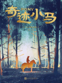 奇迹小马
