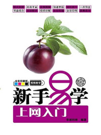 新手易学：上网入门