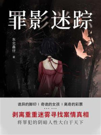 罪影迷踪（第4卷）