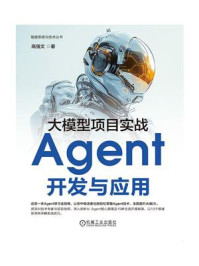 大模型项目实战：Agent开发与应用