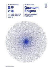 第一推动丛书·物理系列:量子之谜(新版)