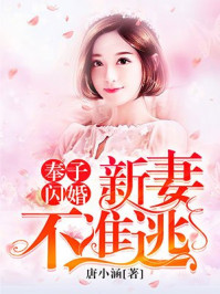 奉子闪婚：新妻不准逃