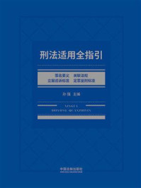 刑法适用全指引:罪名要义、关联法规、立案追诉标准、定罪量刑标准