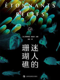 迷人的珊瑚礁
