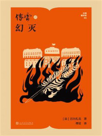 傅雷译幻灭（中国翻译家译丛）