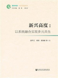 新兴高度：以系统融合实现多元共生(智库书系·地方经验研究)
