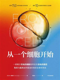 从一个细胞开始