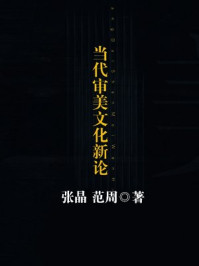 当代审美文化新论