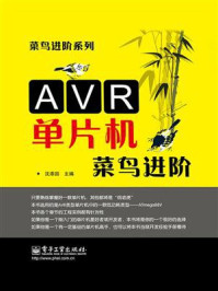 AVR单片机菜鸟进阶