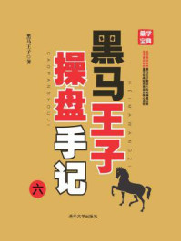 黑马王子操盘手记（六）