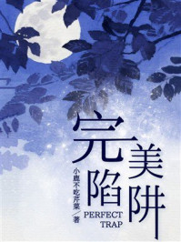 完美陷阱