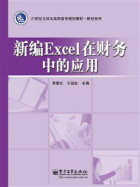 新编Excel在财务中的应用
