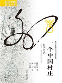 一个中国村庄：山东台头