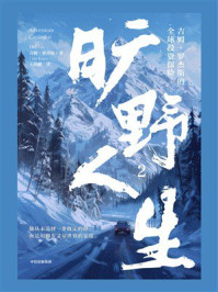 旷野人生2：吉姆·罗杰斯的全球投资探险