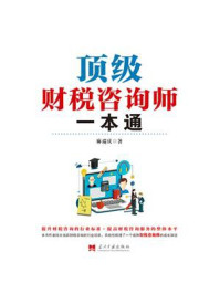 顶级财税咨询师一本通
