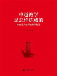 卓越教学是怎样炼成的:来自北大教师的教学智慧