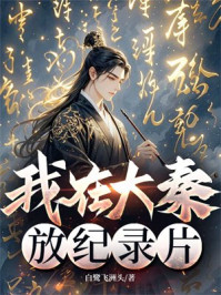 我在大秦放纪录片