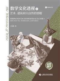 数学文化透视.1,艺术、建筑和大自然的馈赠