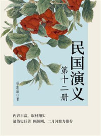 蔡东藩经典历史小说：民国演义（12）