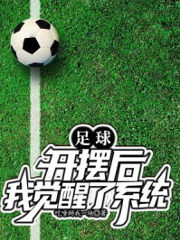 足球：开摆后我觉醒了系统