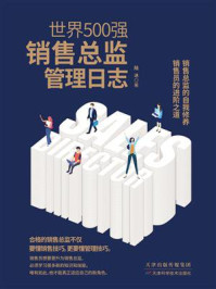 世界500强销售总监管理日志