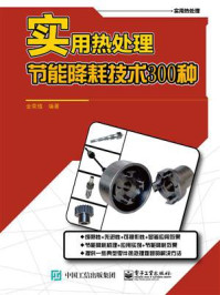 实用热处理节能降耗技术300种