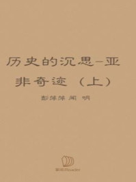 历史的沉思——亚非奇迹（上）