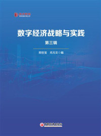 数字经济战略与实践．第三辑