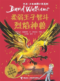 柔弱王子智斗烈焰神兽