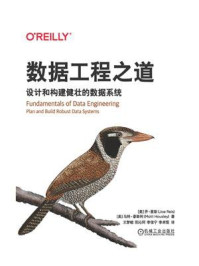 数据工程之道:设计和构建健壮的数据系统