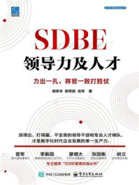 SDBE领导力及人才:力出一孔,将官一致打胜仗