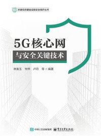 5G核心网与安全关键技术