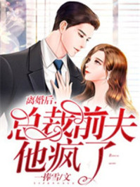 离婚后,总裁前夫他疯了