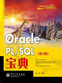 Oracle PL.SQL宝典(第2版)