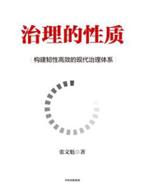 治理的性质