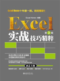 Excel实战技巧精粹(第2版)