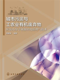 城市污泥与工农业有机废弃物厌氧小分子碳源转化原理与技术