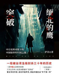 突破缅北的鹰
