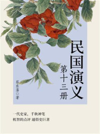 蔡东藩经典历史小说：民国演义（13）