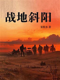 战地斜阳