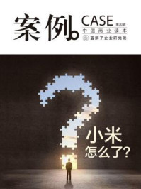 案例:小米怎么了?(第30辑)
