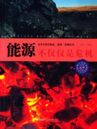 能源:不仅仅是危机