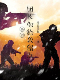 亮剑：团长你给我留点