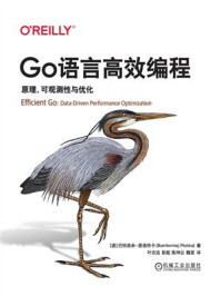 Go语言高效编程：原理、可观测性与优化