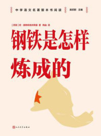钢铁是怎样炼成的