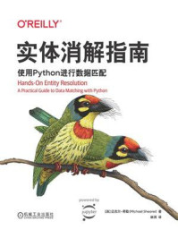 实体消解指南:使用Python进行数据匹配
