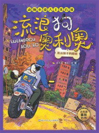 流浪狗奥利奥：黑夜骑士的眼睛