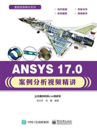 ANSYS 17.0案例分析视频精讲