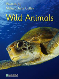 Wild Animals 野生动物