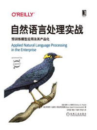 自然语言处理实战:预训练模型应用及其产品化